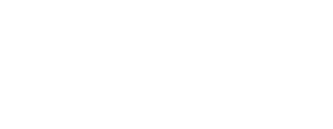 Nivo